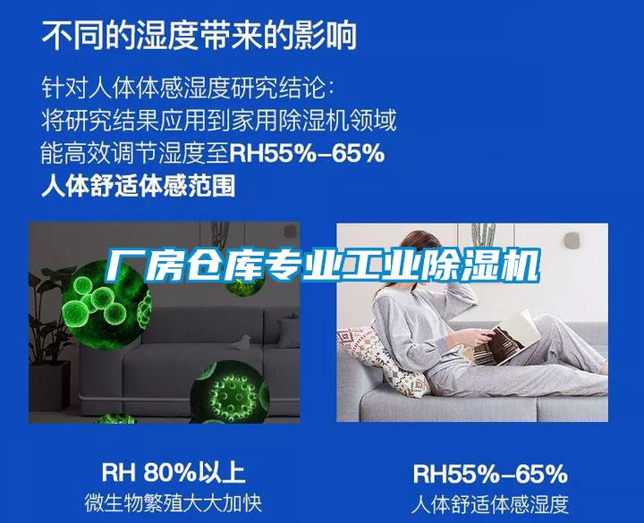 厂房仓库专业工业黄瓜视频下载污机