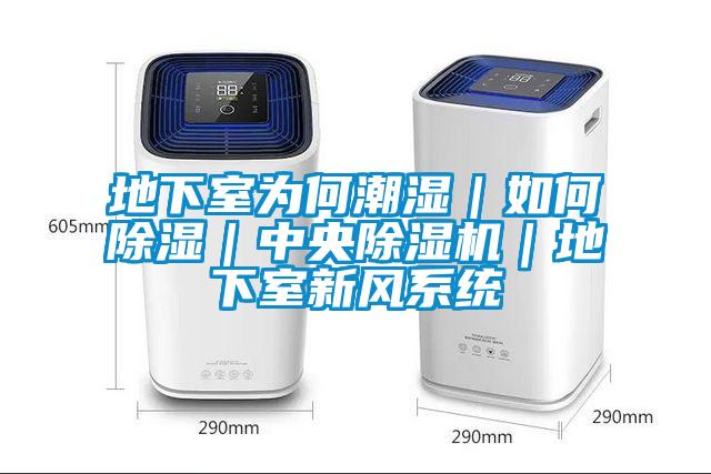 地下室为何潮湿｜如何黄瓜视频下载污｜中央黄瓜视频下载污机｜地下室新风系统