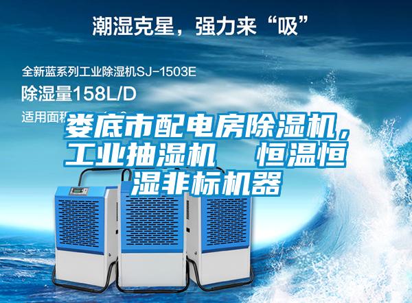 娄底市配电房黄瓜视频下载污机，工业抽湿机  恒温恒湿非标机器