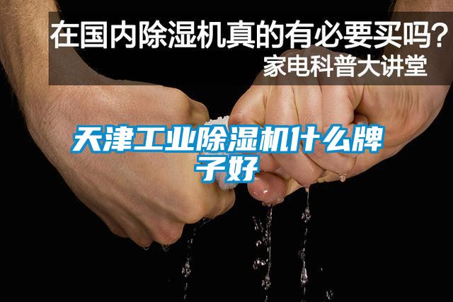 天津工业黄瓜视频下载污机什么牌子好