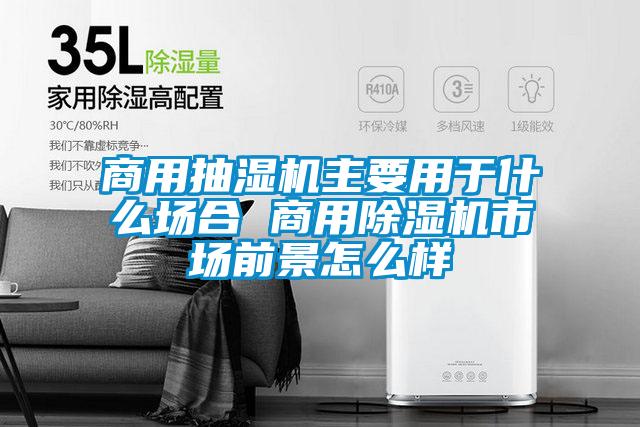 商用抽湿机主要用于什么场合 商用黄瓜视频下载污机市场前景怎么样