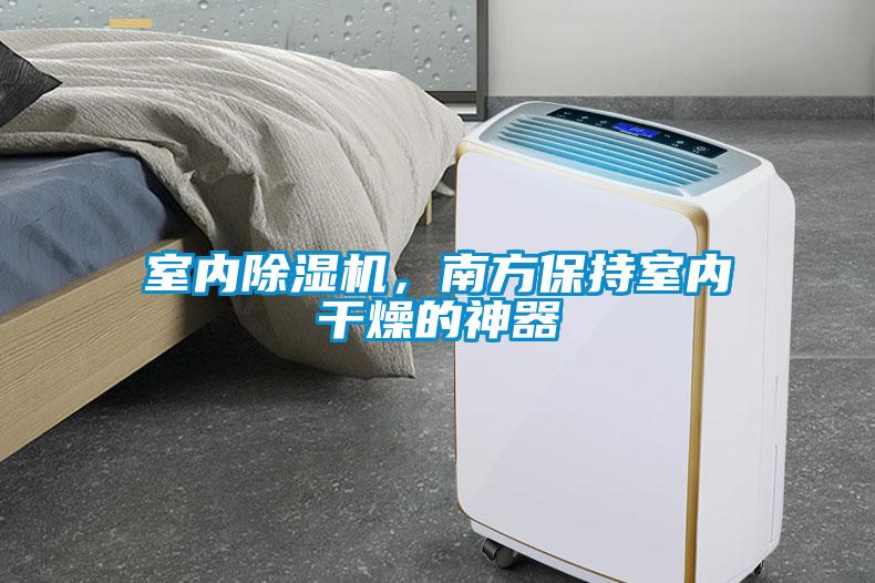 室内黄瓜视频下载污机，南方保持室内干燥的神器