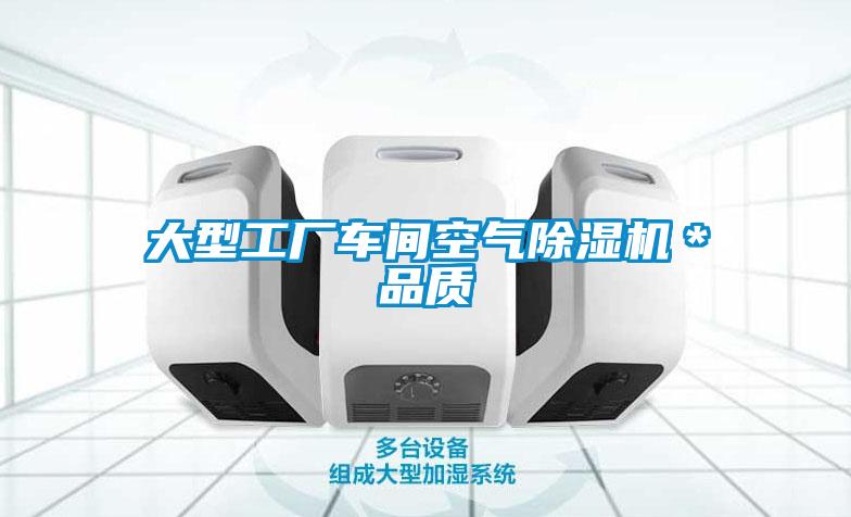大型工厂车间空气黄瓜视频下载污机＊品质