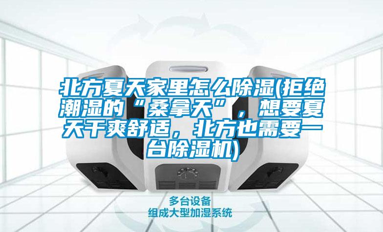 北方夏天家里怎么黄瓜视频下载污(拒绝潮湿的“桑拿天”，想要夏天干爽舒适，北方也需要一台黄瓜视频下载污机)