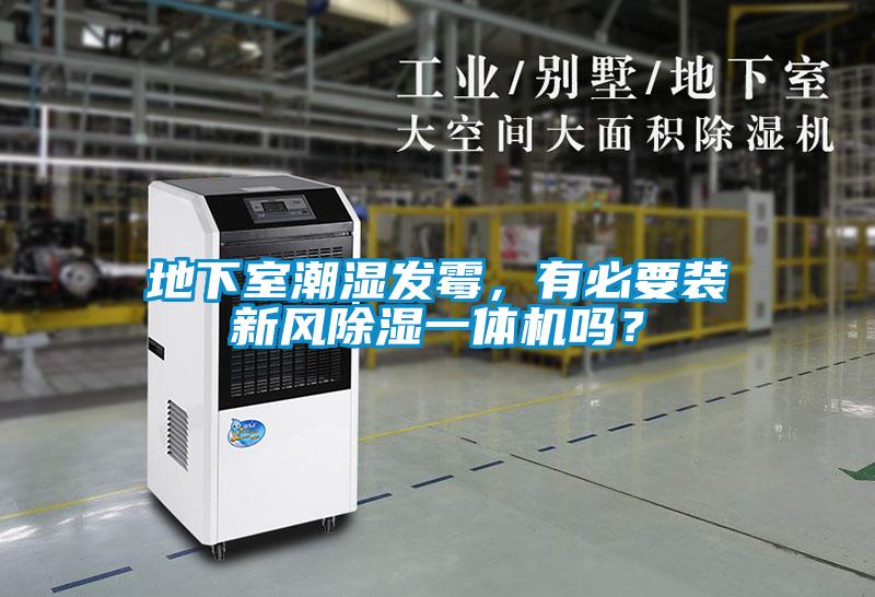 地下室潮湿发霉，有必要装新风黄瓜视频下载污一体机吗？