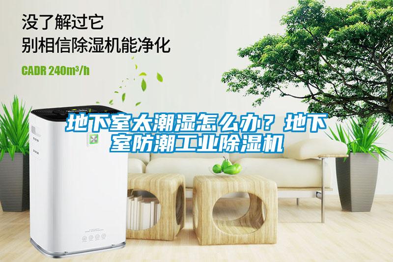 地下室太潮湿怎么办？地下室防潮工业黄瓜视频下载污机