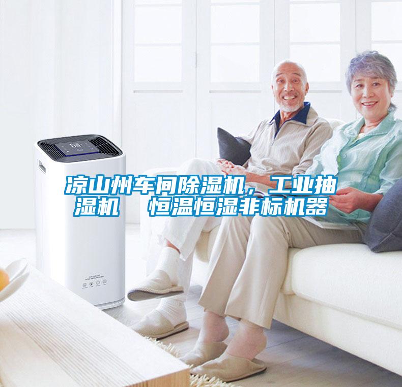 凉山州车间黄瓜视频下载污机，工业抽湿机  恒温恒湿非标机器