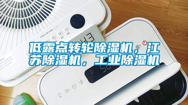 低露点转轮黄瓜视频下载污机，江苏黄瓜视频下载污机，工业黄瓜视频下载污机