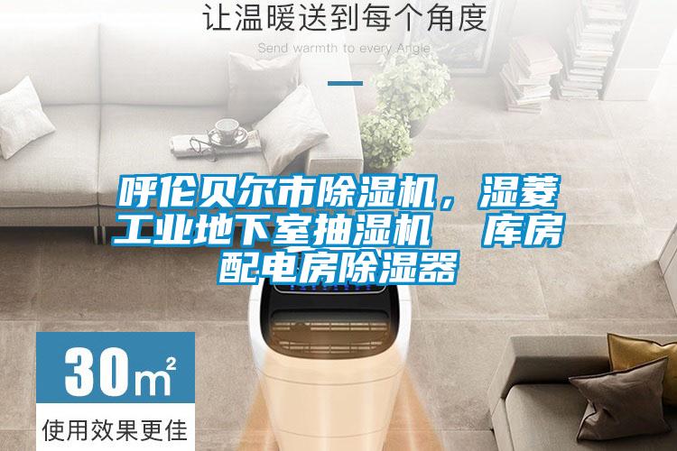 呼伦贝尔市黄瓜视频下载污机，湿菱工业地下室抽湿机  库房配电房黄瓜视频下载污器