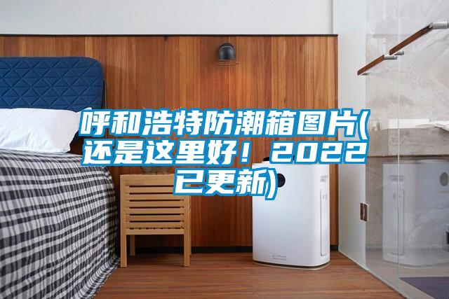 呼和浩特防潮箱图片(还是这里好！2022已更新)