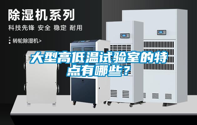 大型高低温试验室的特点有哪些？