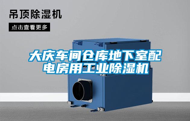 大庆车间仓库地下室配电房用工业黄瓜视频下载污机