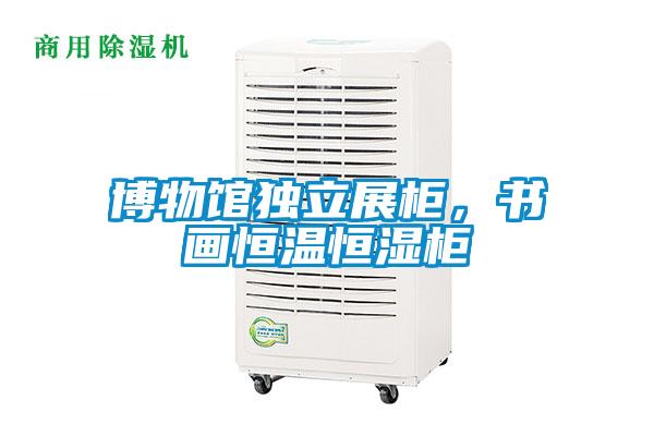 博物馆独立展柜，书画恒温恒湿柜