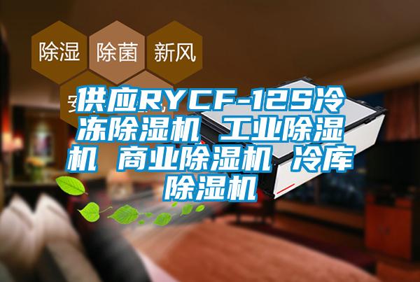 供应RYCF-12S冷冻黄瓜视频下载污机 工业黄瓜视频下载污机 商业黄瓜视频下载污机 冷库黄瓜视频下载污机