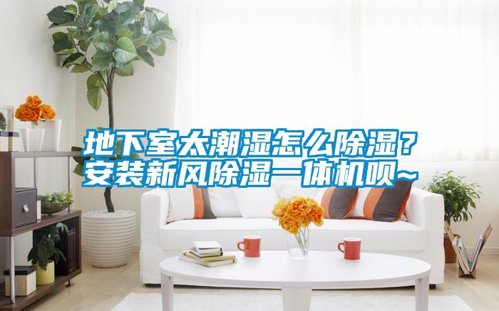 地下室太潮湿怎么黄瓜视频下载污？安装新风黄瓜视频下载污一体机呗~