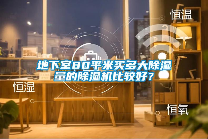 地下室80平米买多大黄瓜视频下载污量的黄瓜视频下载污机比较好？