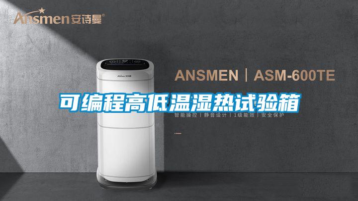 可编程高低温湿热试验箱