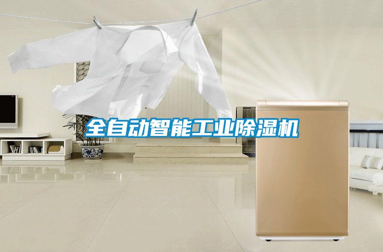 全自动智能工业黄瓜视频下载污机