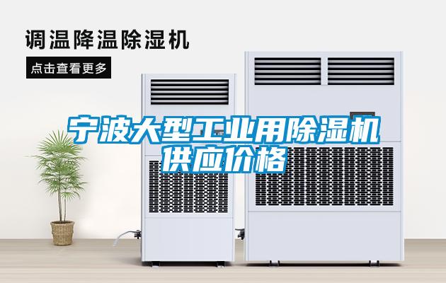 宁波大型工业用黄瓜视频下载污机供应价格