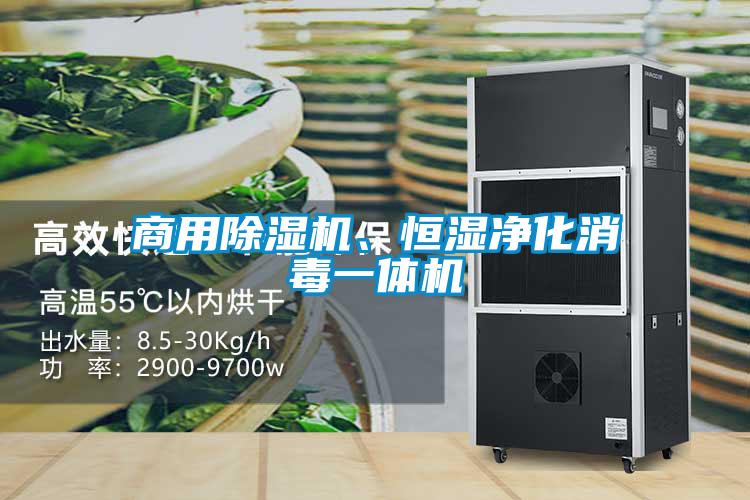 商用黄瓜视频下载污机、恒湿净化消毒一体机