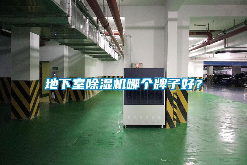 地下室黄瓜视频下载污机哪个牌子好？