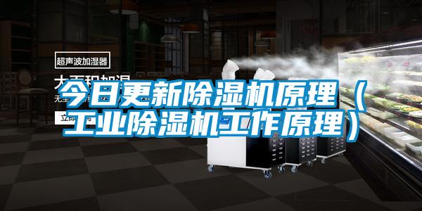 今日更新黄瓜视频下载污机原理（工业黄瓜视频下载污机工作原理）
