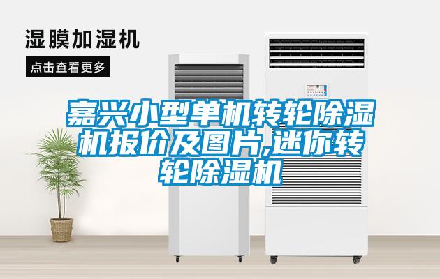 嘉兴小型单机转轮黄瓜视频下载污机报价及图片,迷你转轮黄瓜视频下载污机
