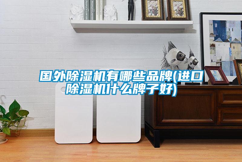 国外黄瓜视频下载污机有哪些品牌(进口黄瓜视频下载污机什么牌子好)