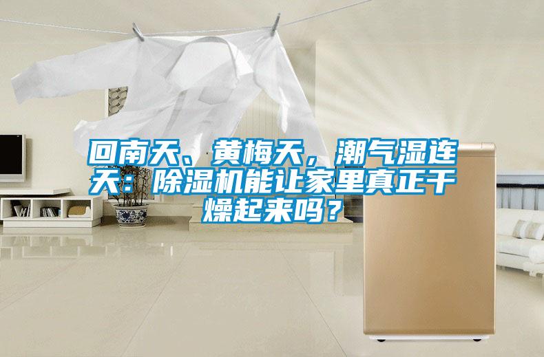 回南天、黄梅天，潮气湿连天：黄瓜视频下载污机能让家里真正干燥起来吗？