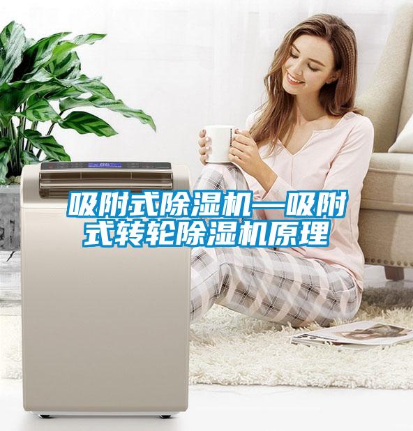 吸附式黄瓜视频下载污机—吸附式转轮黄瓜视频下载污机原理