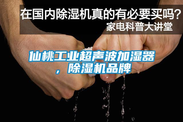 仙桃工业超声波加湿器，黄瓜视频下载污机品牌