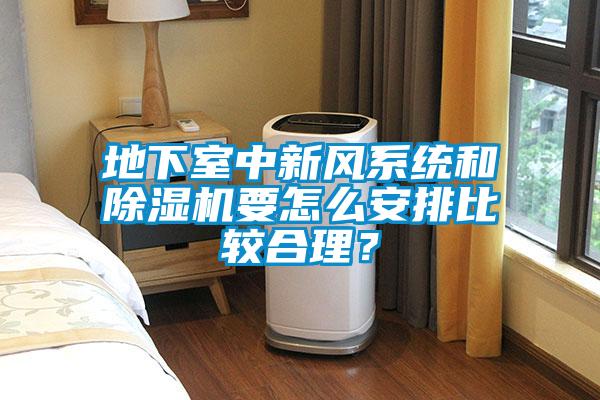 地下室中新风系统和黄瓜视频下载污机要怎么安排比较合理？