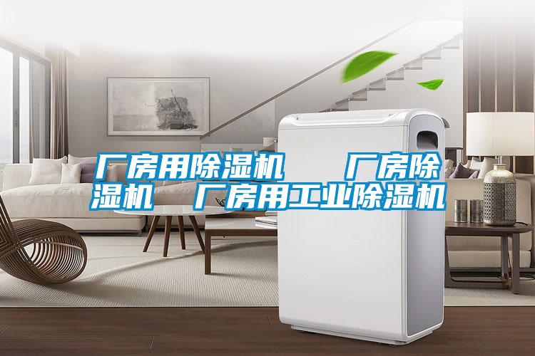 厂房用黄瓜视频下载污机   厂房黄瓜视频下载污机  厂房用工业黄瓜视频下载污机