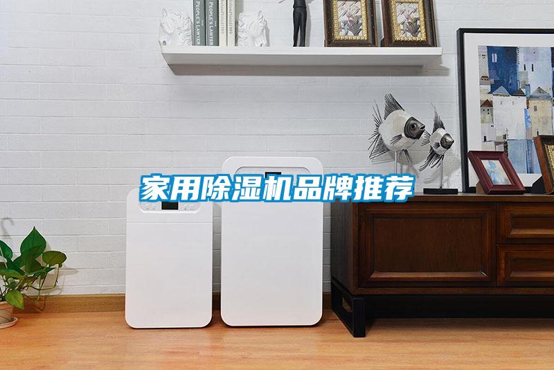 家用黄瓜视频下载污机品牌推荐