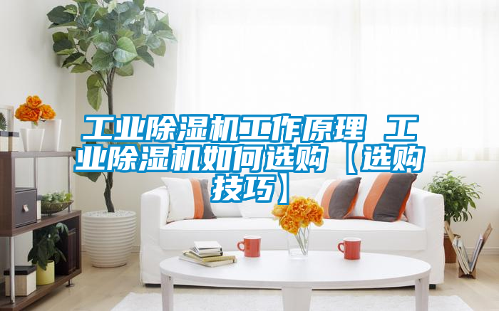 工业黄瓜视频下载污机工作原理 工业黄瓜视频下载污机如何选购【选购技巧】
