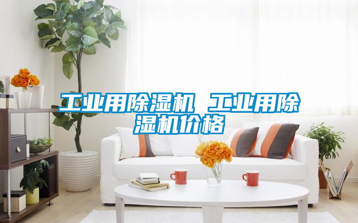 工业用黄瓜视频下载污机 工业用黄瓜视频下载污机价格