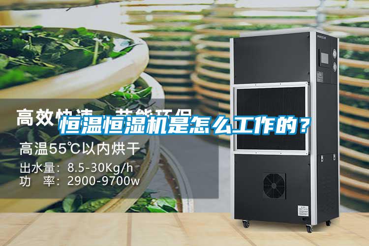 恒温恒湿机是怎么工作的？
