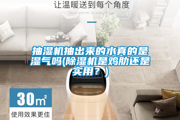 抽湿机抽出来的水真的是湿气吗(黄瓜视频下载污机是鸡肋还是实用？)