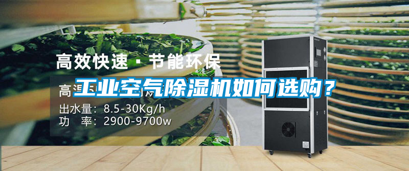 工业空气黄瓜视频下载污机如何选购？