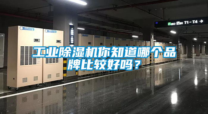工业黄瓜视频下载污机你知道哪个品牌比较好吗？