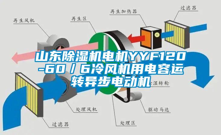 山东黄瓜视频下载污机电机YYF120-60／6冷风机用电容运转异步电动机