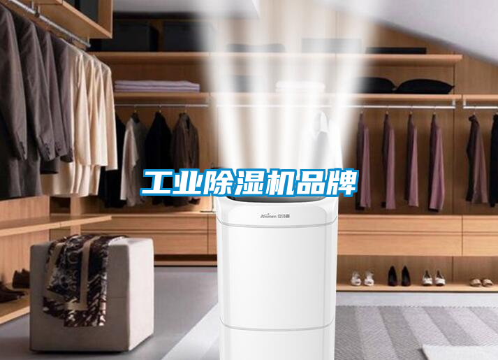 工业黄瓜视频下载污机品牌