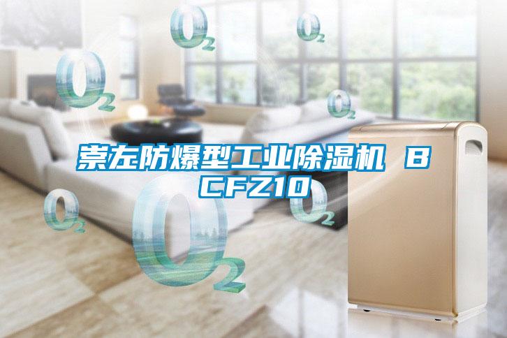 崇左防爆型工业黄瓜视频下载污机 BCFZ10