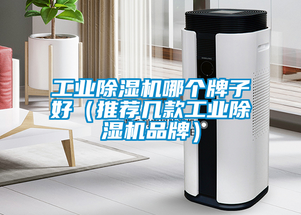 工业黄瓜视频下载污机哪个牌子好（推荐几款工业黄瓜视频下载污机品牌）
