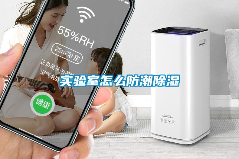 实验室怎么防潮黄瓜视频下载污