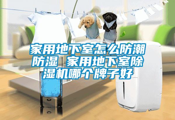 家用地下室怎么防潮防湿 家用地下室黄瓜视频下载污机哪个牌子好