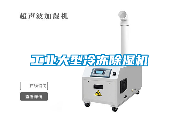 工业大型冷冻黄瓜视频下载污机