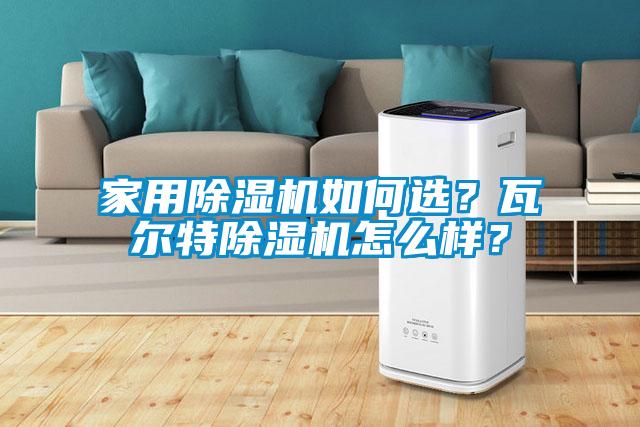 家用黄瓜视频下载污机如何选？瓦尔特黄瓜视频下载污机怎么样？