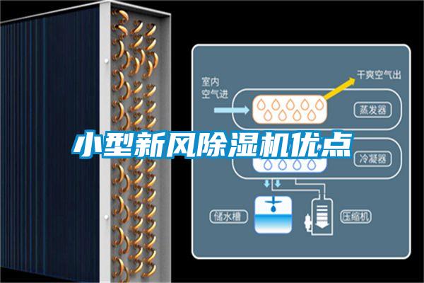 小型新风黄瓜视频下载污机优点
