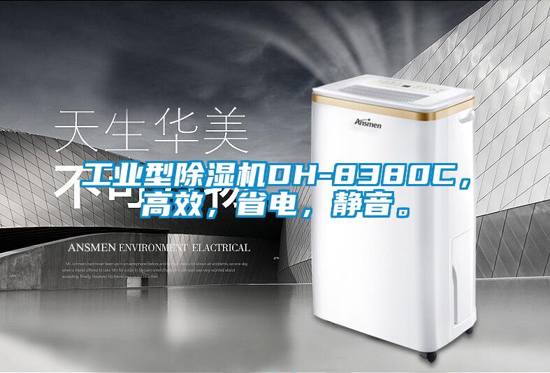 工业型黄瓜视频下载污机DH-8380C，高效，省电，静音。